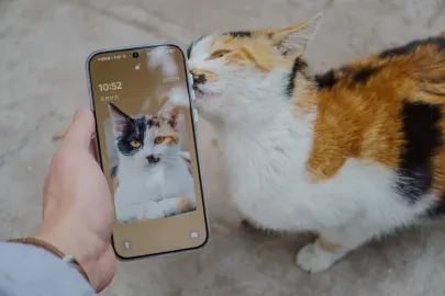 BetCart Casino Mobil App